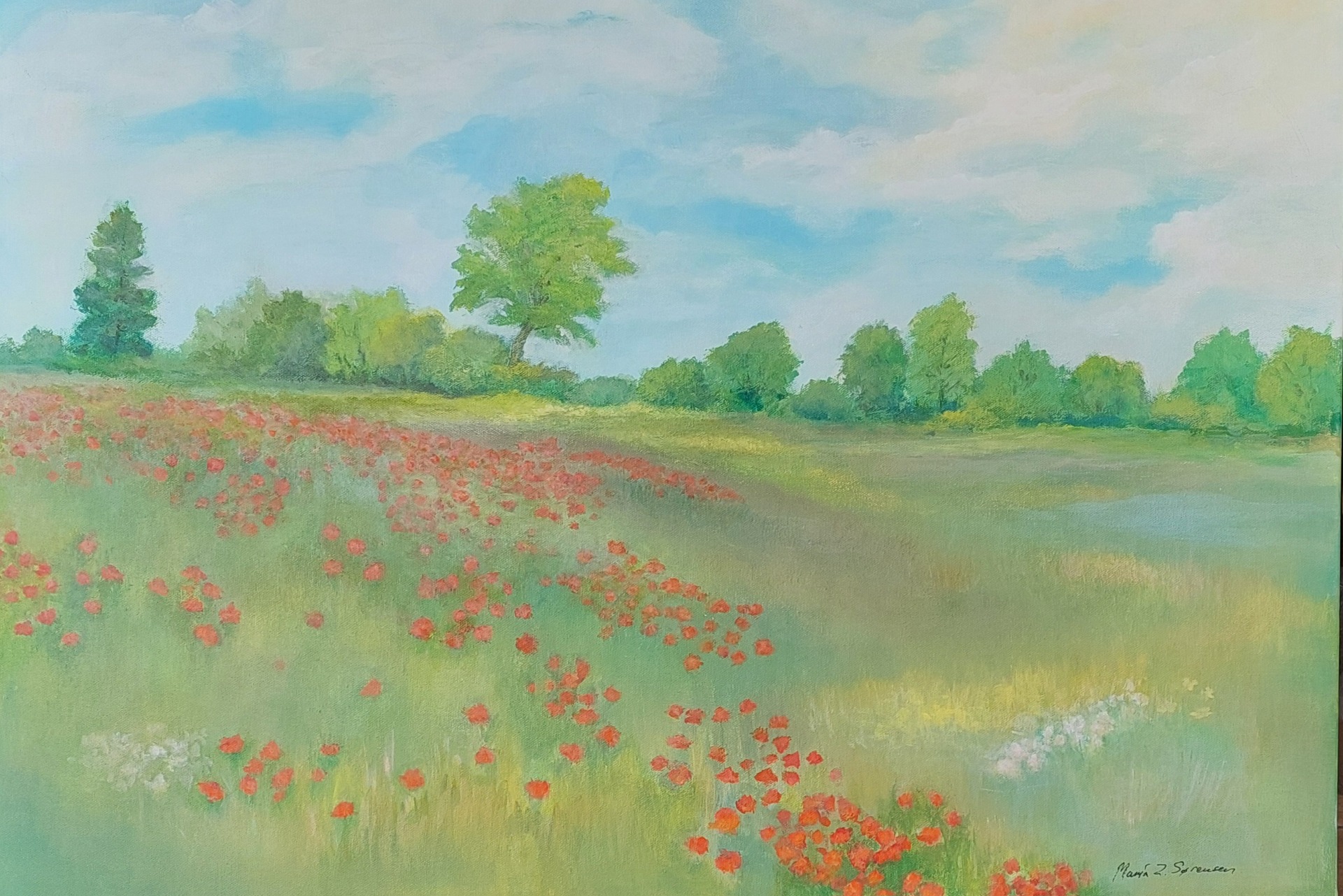 Valmuer 80 x 60 cm