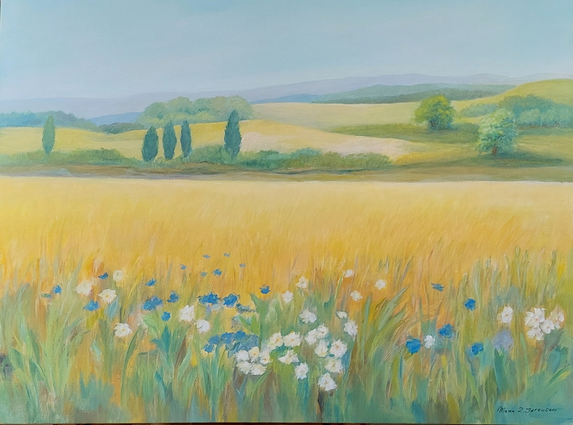 Åkeren 80 x 60 cm SOLGT